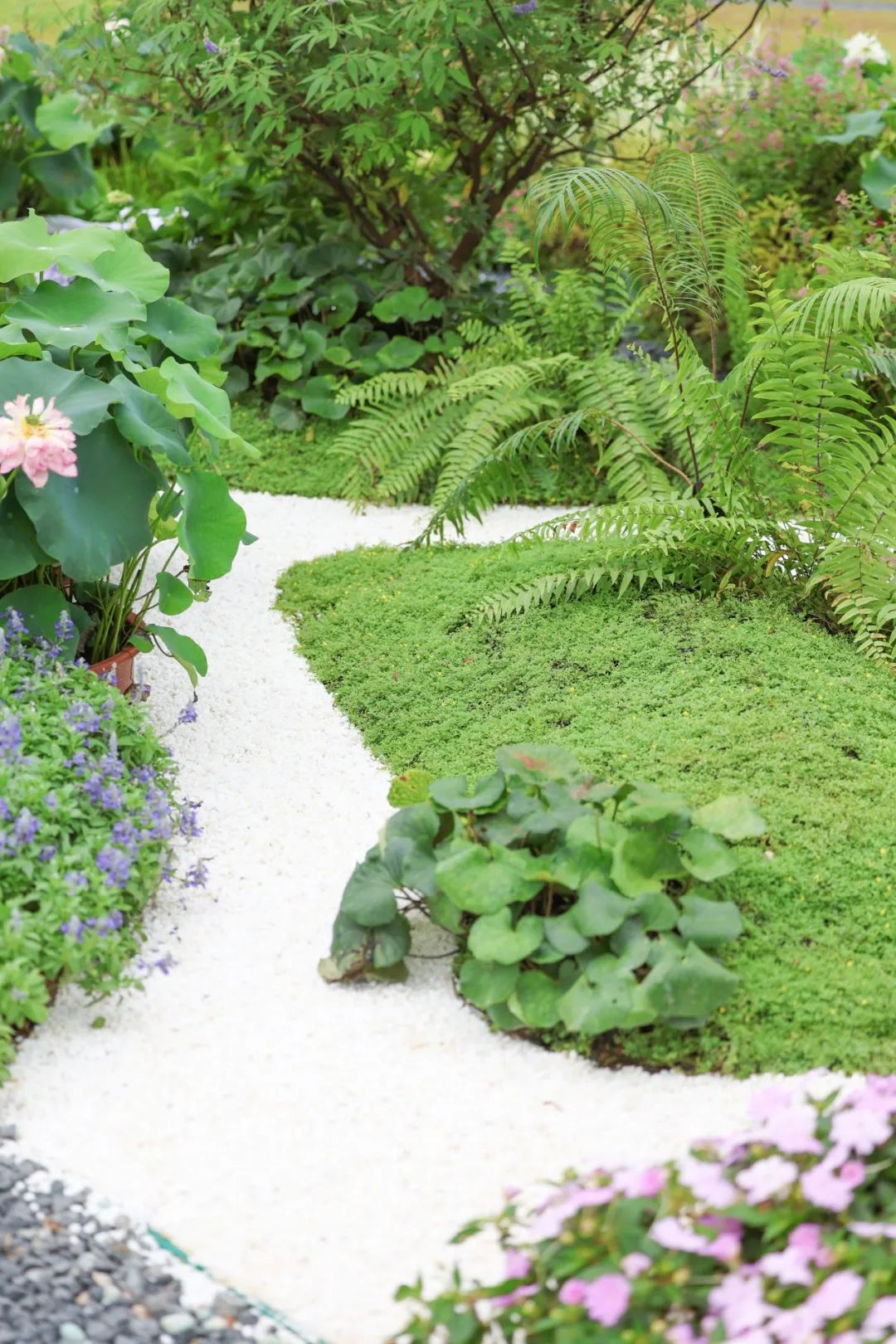 1752480781350413.jpg 13.jpg